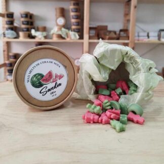 Wax melts - Sandía
