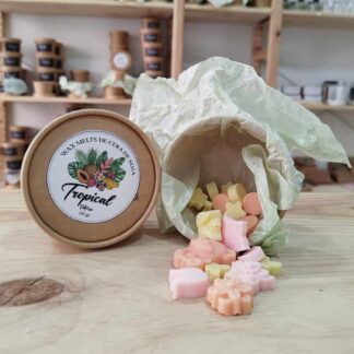 Wax melts - Tropical